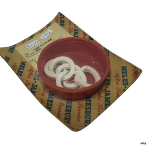 Neles-Jamesbury V-Osat R1LA 25 Stand 250861 Seal KIT