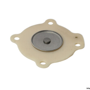 Asco C113443 Repair KIT