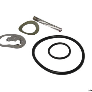 Asco 599065/01 Repair KIT