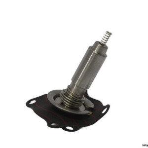 Asco C132487 Repair KIT