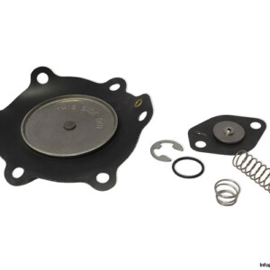 Asco 4110040834 Diaphragm Repair KIT