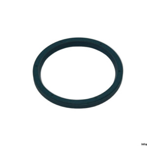 ina-009634568-0000-10-seal-kit-(New)