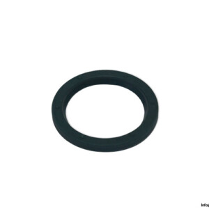 ina-004-235-924-seal-kit-(New)