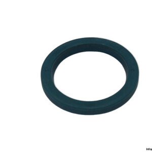 ina-004235827-0000-10-seal-kit-(New)