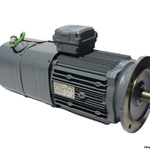SEW DRL132S4BE11HR/FL/IS/TF/AS7W Asynchronous Servomotor