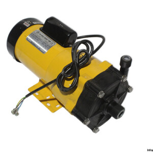 pan-world-magnet-pump-NH-300PS-pump(new)