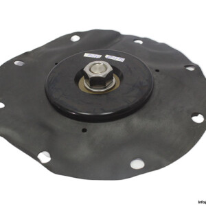 goyen-F1A-valve-diaphragm-(New)