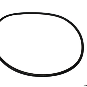 Voith H01.004361 O-Ring Seal KIT