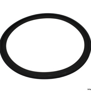 Voith 454.314129 Ring Seal KIT