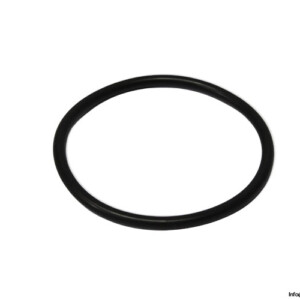 Voith H01.008012 O-Ring Seal KIT