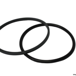 Voith 430.118644 Piston Seal KIT