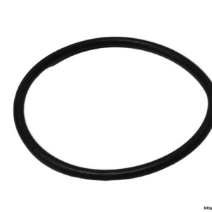 Voith H01.008020 O-Ring Seal KIT