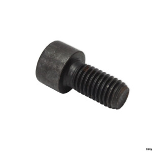 Voith H01.006747 Cylindrical Screw