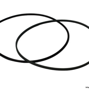Voith 430.118643 Seal KIT