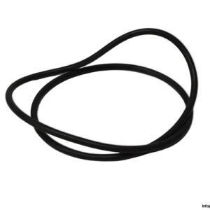 Voith H01.034132 O-Ring Seal KIT