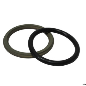 Voith H83.015040 Captive Glyd Ring Seal KIT