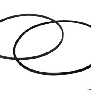 Voith 4000377833 ROD Seal KIT