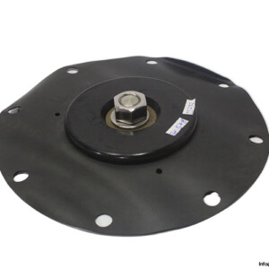 GOYEN F3A VALVE DIAPHRAGM