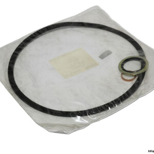 mahle-D-Satz-NBR-seal-kit-(New)