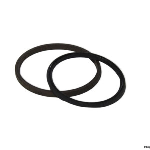 TRELLEBORG PT0100400-T46N SEAL KIT