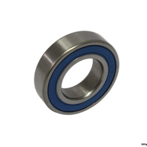 SS6005-2RS-deep-groove-ball-bearing(new-Without-CARTON)