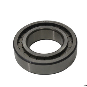 ina-SL182210-A-XL-cylindrical-roller-bearing(new-carton)