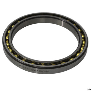INA 61818 Y C3 Deep Groove Ball Bearing