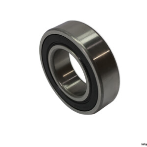 2209-2RS Self-Aligning Ball Bearing