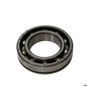 Dkfddr 6007N Deep Groove Ball Bearing