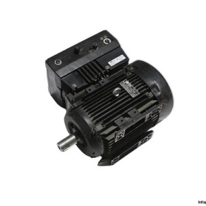 TEE Q2D 132M4B-41 H 3 Phase Electric Motor