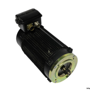TAE BL 90 B DC Motor