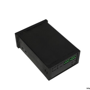 SENECA S310 INDICATOR WITH ANALOG INPUT