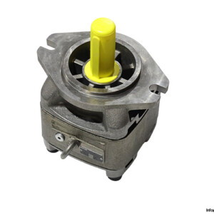 Rexroth R901147117 Gear Pump