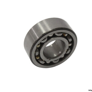 skf-4204-double-row-deep-groove-ball-bearing-(new-without-carton)